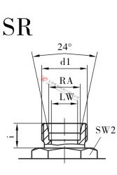 VH2V直通高壓球閥SR螺紋連接口略圖