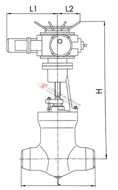 Z960Y高溫高壓電站閘閥外形結構圖