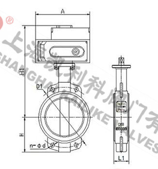 D971X電動蝶閥外形結構圖