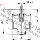 D81X衛(wèi)生級(jí)快裝蝶閥外形結(jié)構(gòu)圖