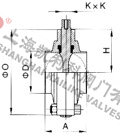 D81X衛(wèi)生級(jí)快裝蝶閥外形結(jié)構(gòu)圖