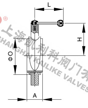 D71X衛生級對夾蝶閥外形結構圖