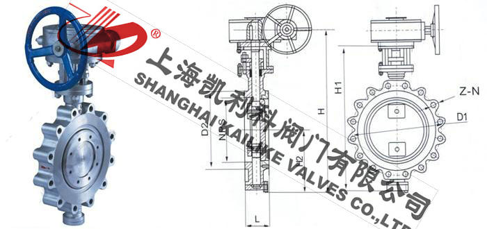D373H美標凸耳式蝶閥外形結構圖