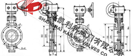 D373H日標蝶閥外形結構圖