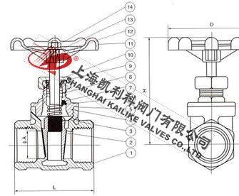 J11H絲扣截止閥外形結(jié)構(gòu)圖