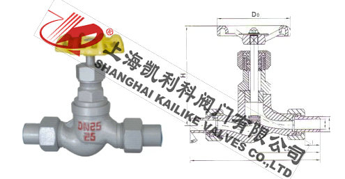 J21B外螺紋氨用截止閥外形結(jié)構(gòu)圖