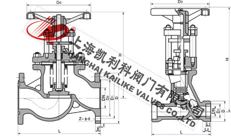 WJ41H國標波紋管截止閥外形結構圖