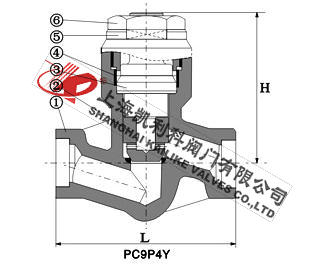 H61Y自密封止回閥外形結(jié)構(gòu)圖