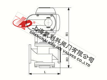 EDRV動態平衡電動調節閥外形結構圖