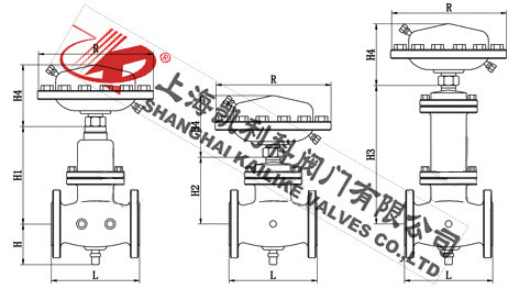 ZZLP自力式流量調節閥外形結構圖