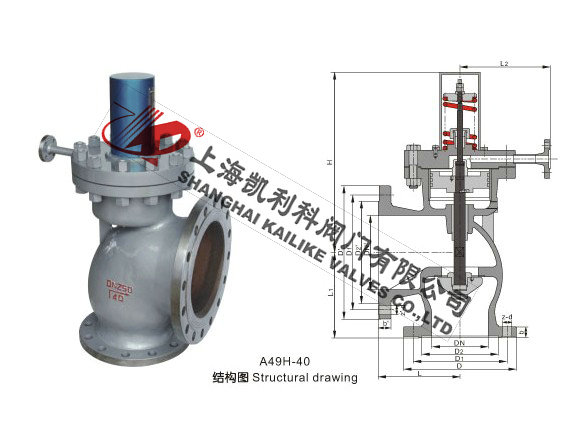 A49H、A49Y主安全閥外形結構圖
