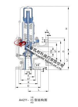 A42H、A42Y不銹鋼氧氣安全閥外形結構圖