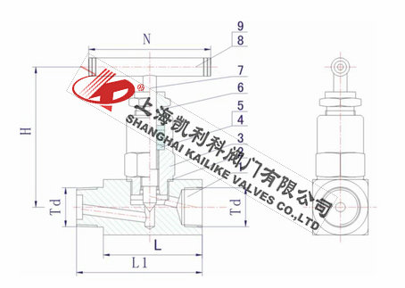 ANSI-6000PSI~10000PSI美標(biāo)內(nèi)外螺紋針型閥外形結(jié)構(gòu)圖