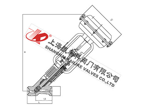 ZMQSY氣動Y型疏水閥外形結構圖