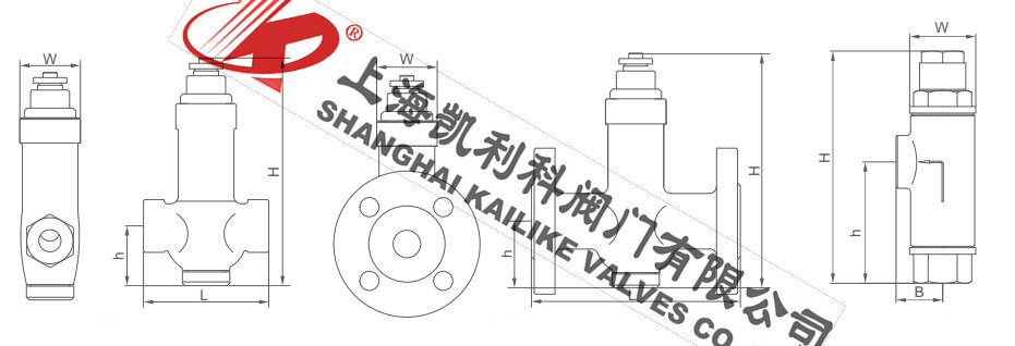 CS44H波紋管式疏水閥外形結構圖