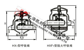 HX1不銹鋼帶接管呼吸閥、HXF1帶接管阻火呼吸閥外形結構圖