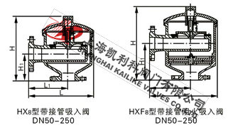 HX8帶接管吸入閥、HX8帶接管阻火吸入閥外形結構圖