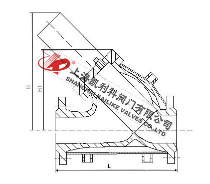 BY41HY型保溫過濾器外形結(jié)構(gòu)圖