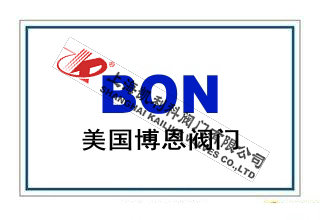 美國博恩閥門BON