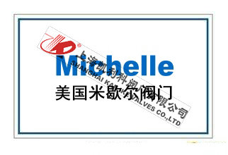 美國米歇爾閥門Michelle